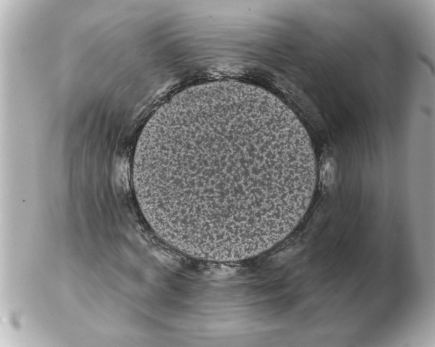 X0000102530772200808291819