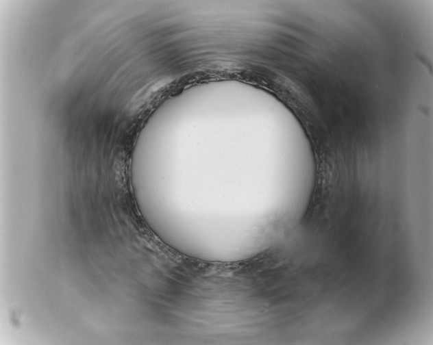 X0000102530773200808291819