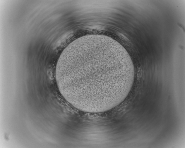 X0000102530774200808291819