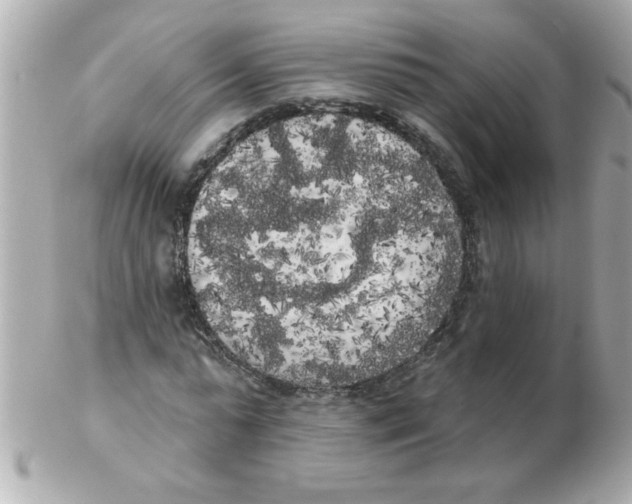 X0000102530775200808291819