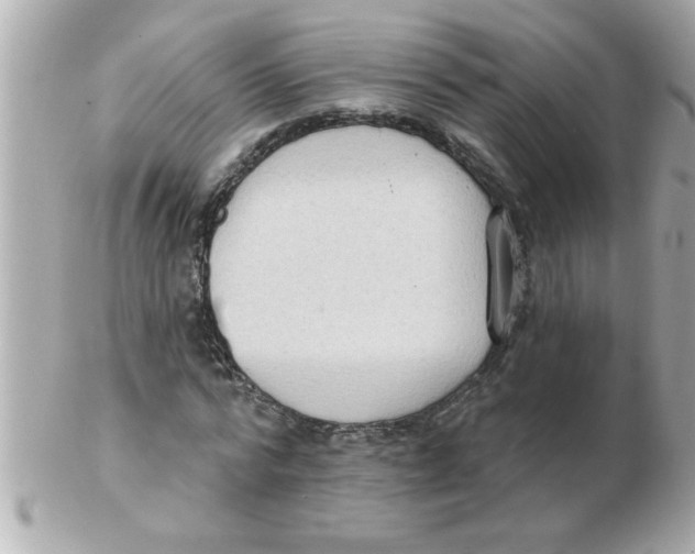 X0000102530776200808291819
