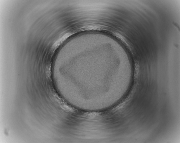 X0000102530778200808291819