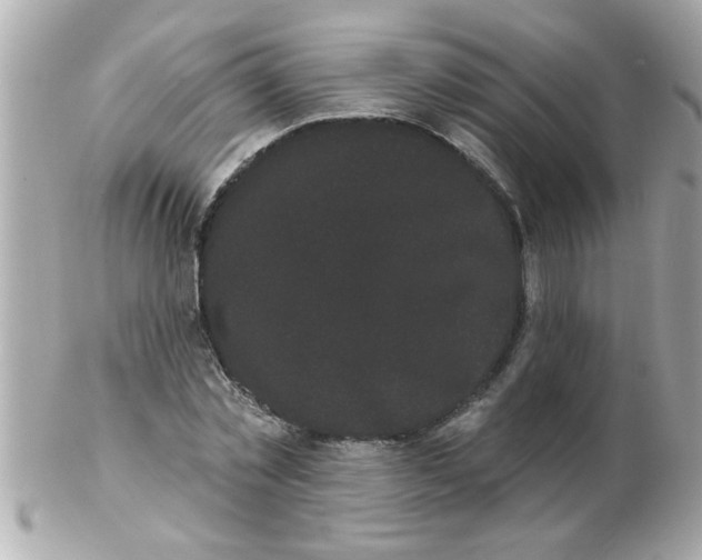 X0000102530781200808291819