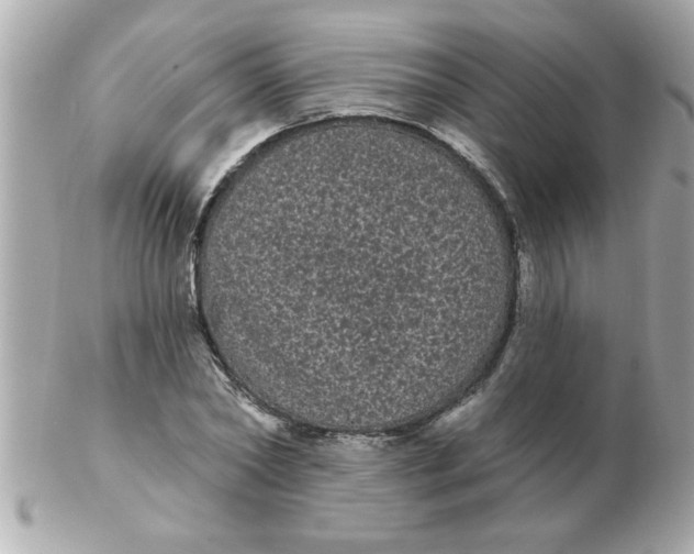 X0000102530782200808291819