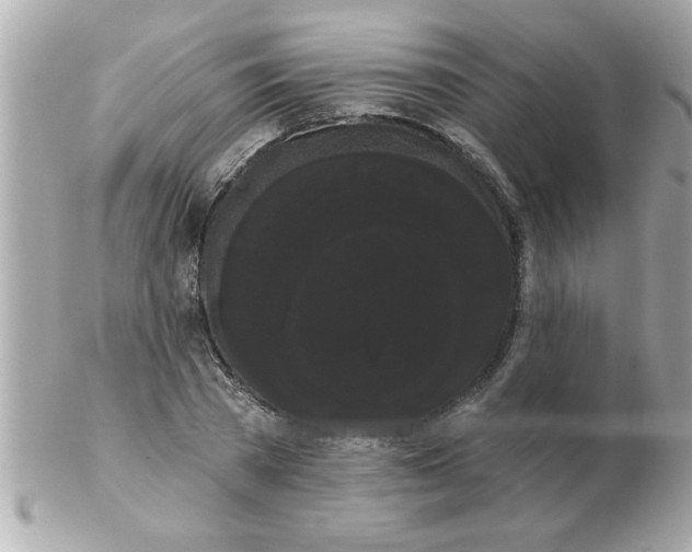 X0000102530785200808291819