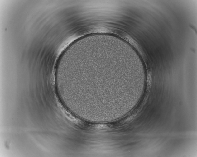 X0000102530787200808291819