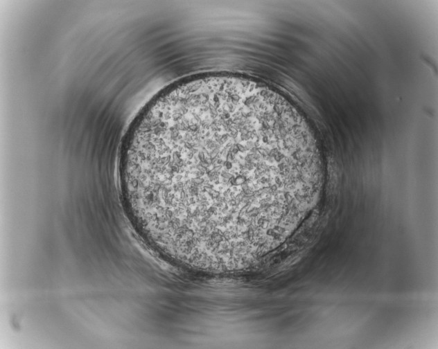 X0000102530788200808291819