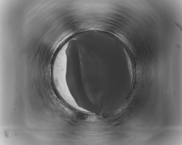X0000102530790200808291819