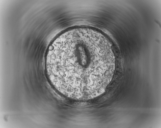 X0000102530791200808291819