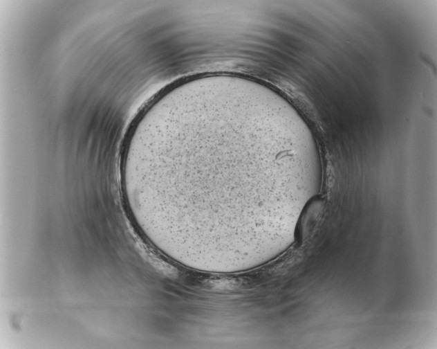 X0000102530792200808291819