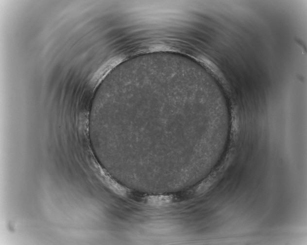 X0000102530793200808291819