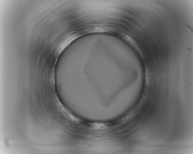 X0000102530794200808291819