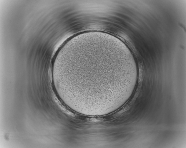 X0000102530796200808291819