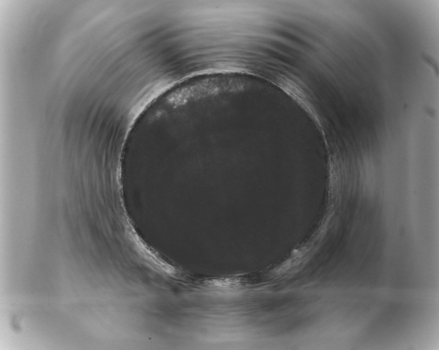 X0000102530797200808291819