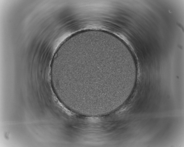 X0000102530799200808291819