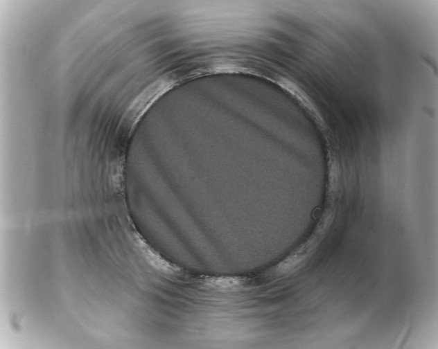 X0000102530801200808291819