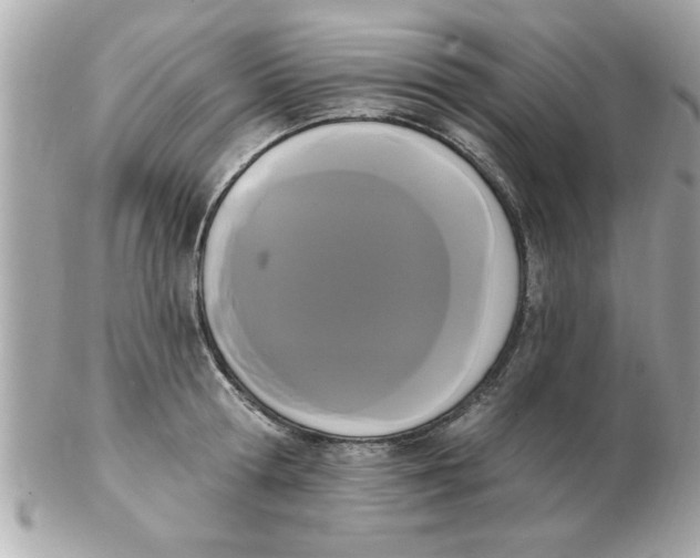 X0000102530802200808291819