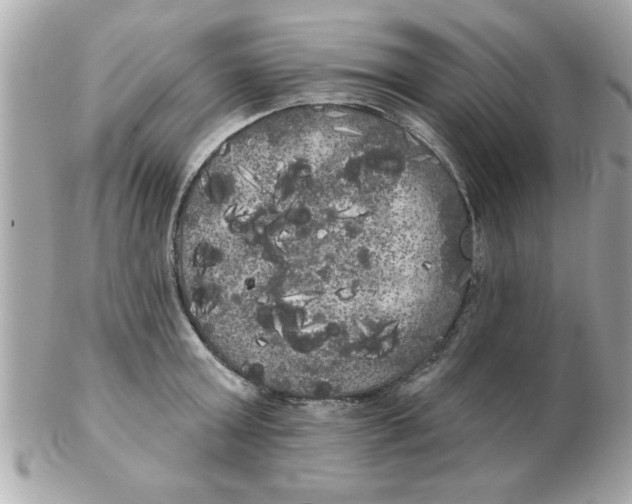 X0000102530803200808291818