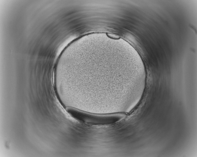 X0000102530804200808291818
