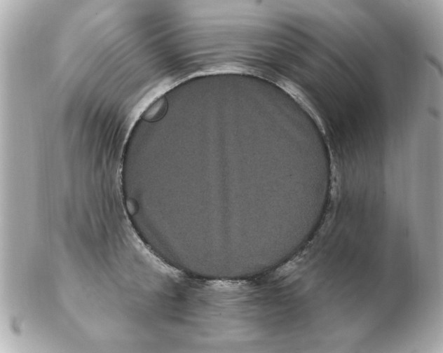 X0000102530805200808291818