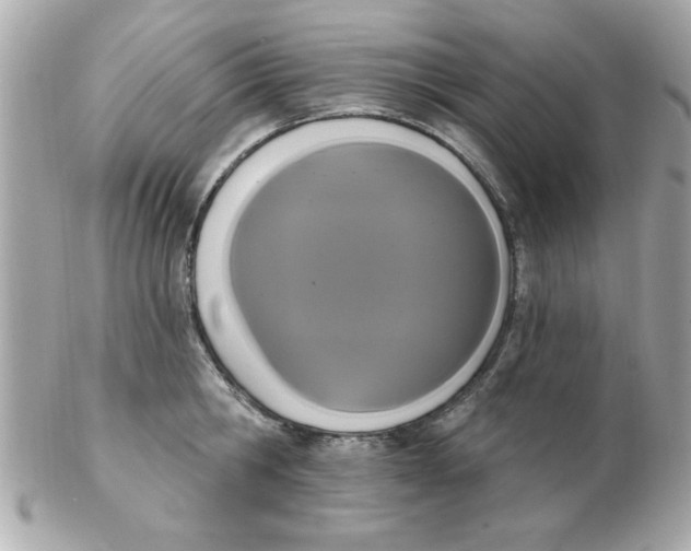 X0000102530806200808291818