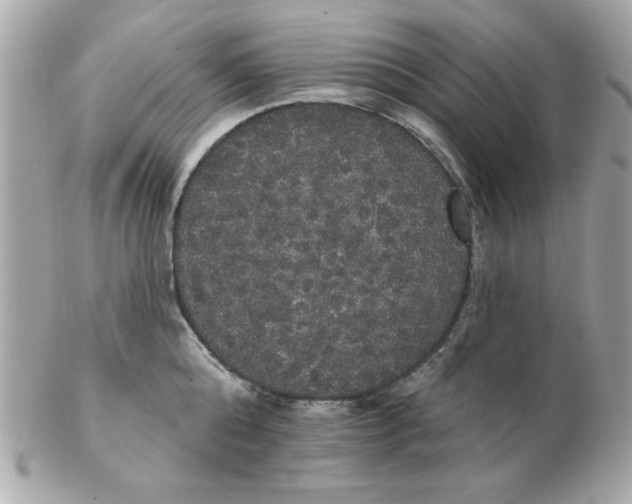 X0000102530808200808291818
