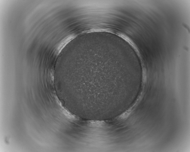X0000102530809200808291818