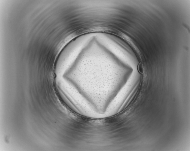 X0000102530810200808291818
