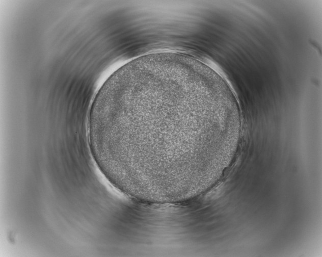 X0000102530811200808291818