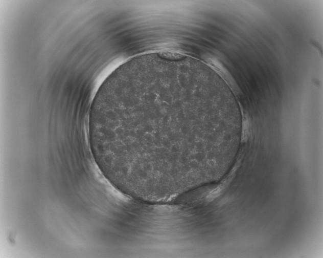 X0000102530812200808291818