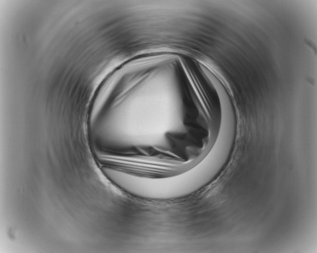 X0000102530813200808291818