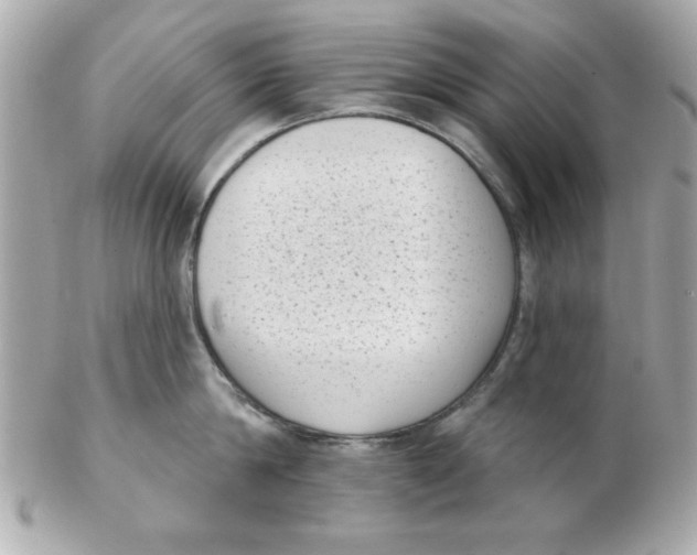 X0000102530814200808291818