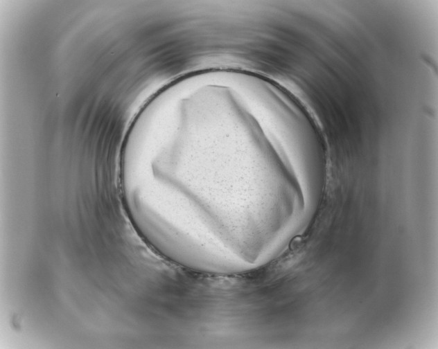 X0000102530815200808291818
