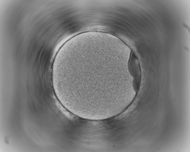 X0000102530816200808291818