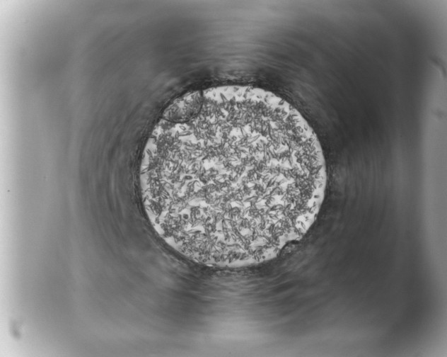 X0000102530817200808291818