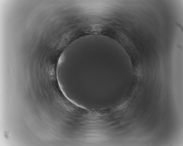 X0000102530818200808291818