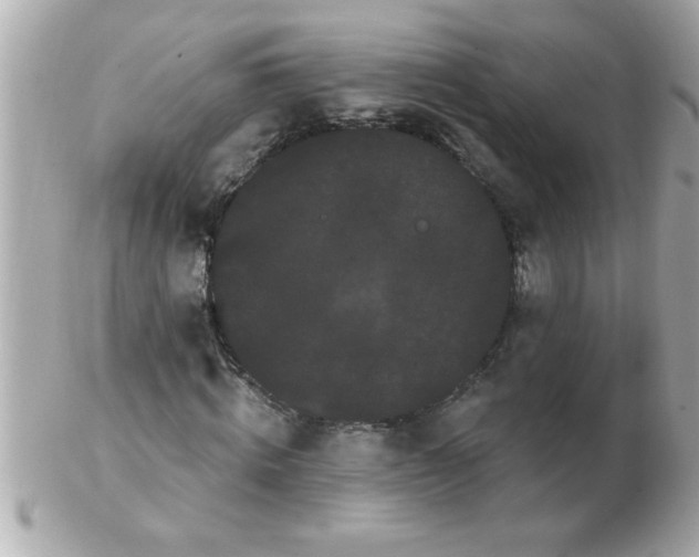 X0000102530820200808291818