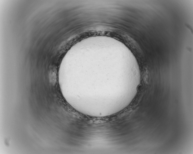 X0000102530821200808291818