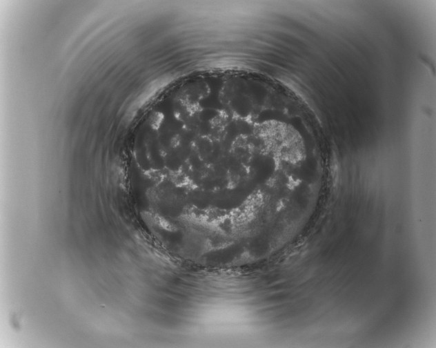 X0000102530823200808291818