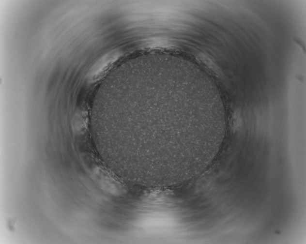 X0000102530824200808291818