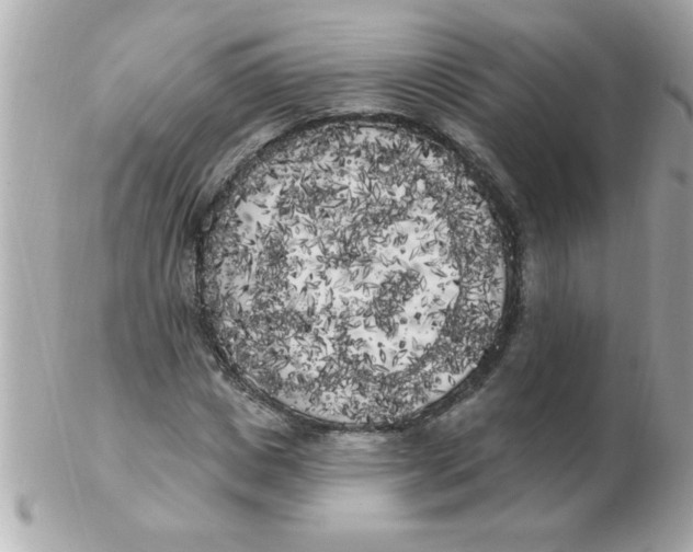X0000102530825200808291818