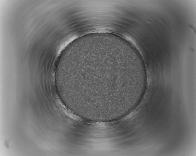X0000102530827200808291818