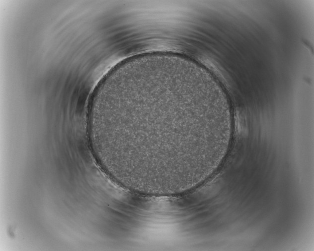 X0000102530828200808291818