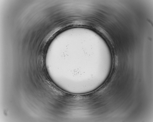 X0000102530829200808291818