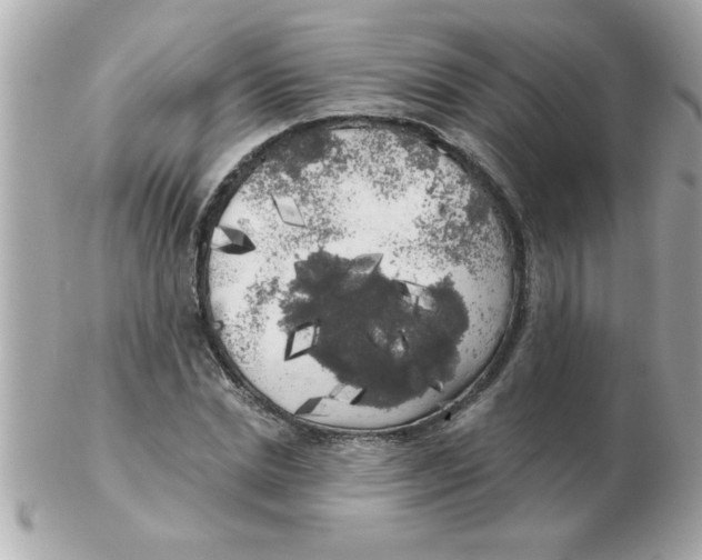 X0000102530830200808291818