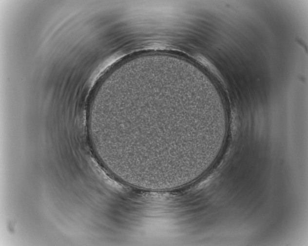 X0000102530831200808291818