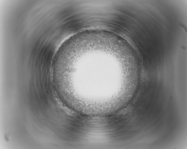 X0000102530832200808291818