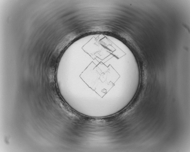 X0000102530833200808291818