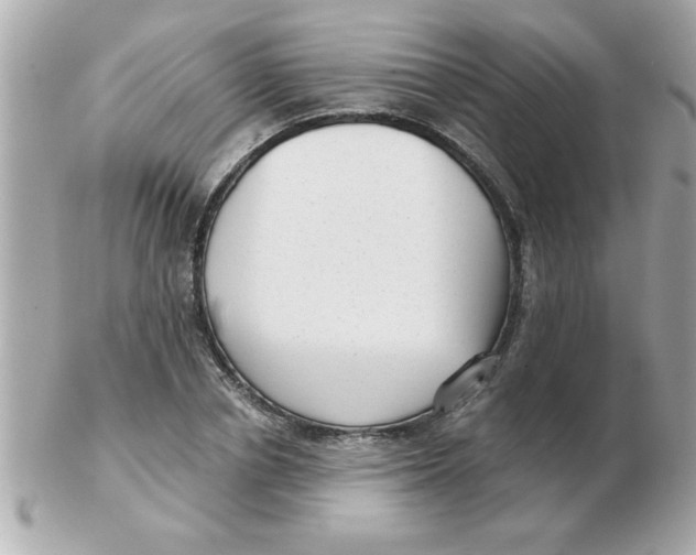 X0000102530834200808291818