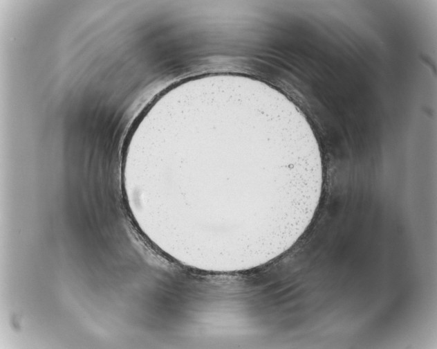 X0000102530836200808291818